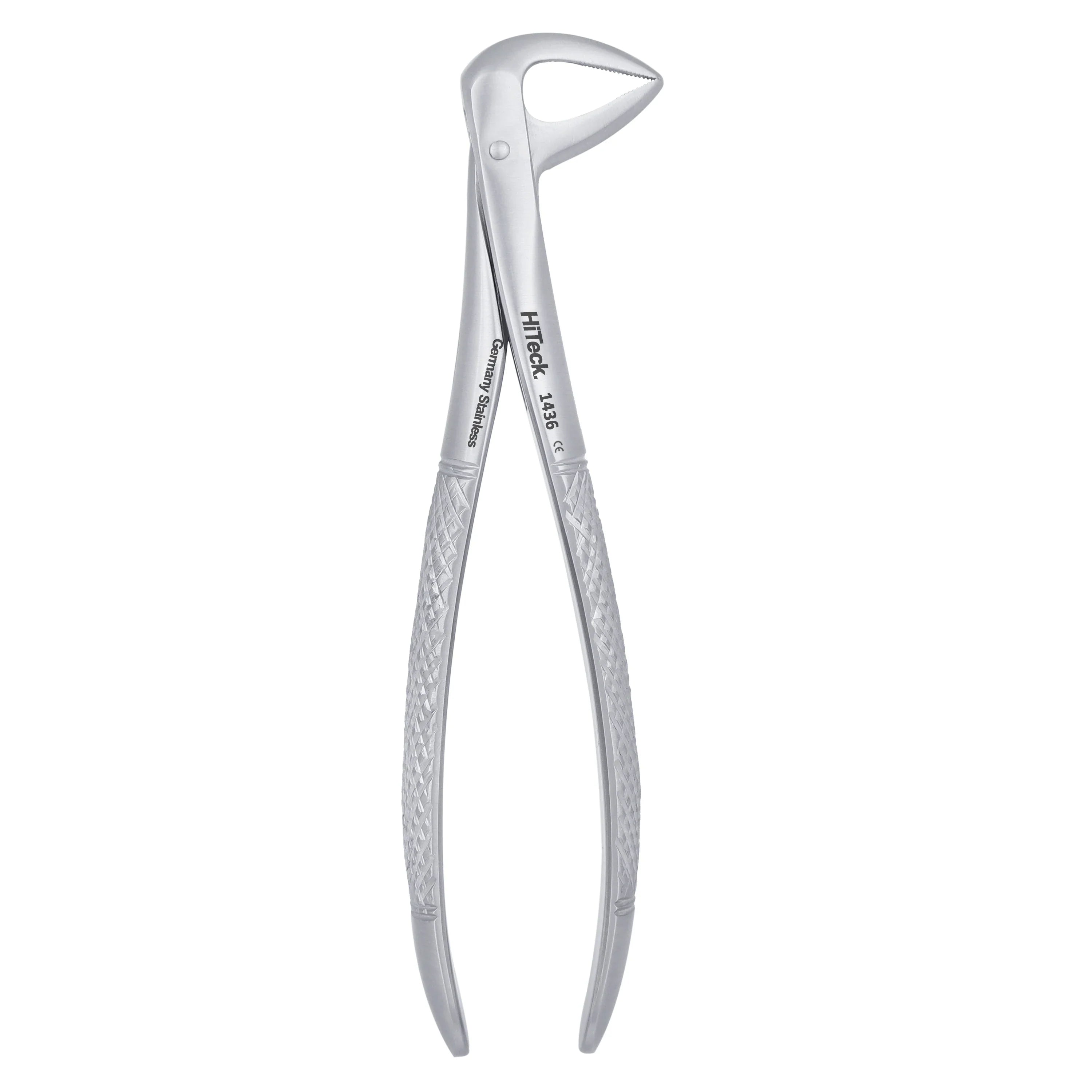 74 Lower Roots Serrated Extraction Forceps