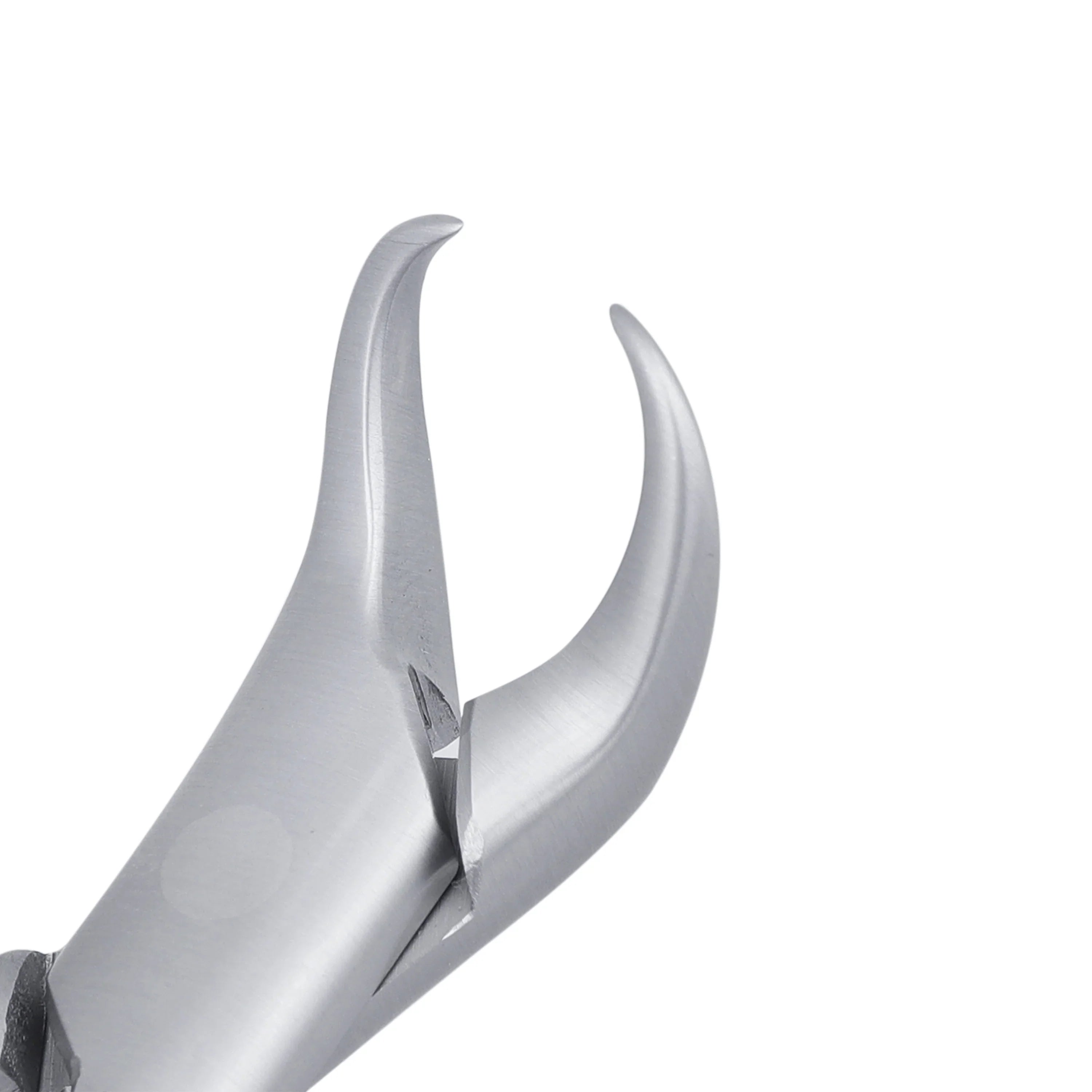 23S Pedo Cowhorn 1st & 2nd Lower Molars Extraction Forcep
