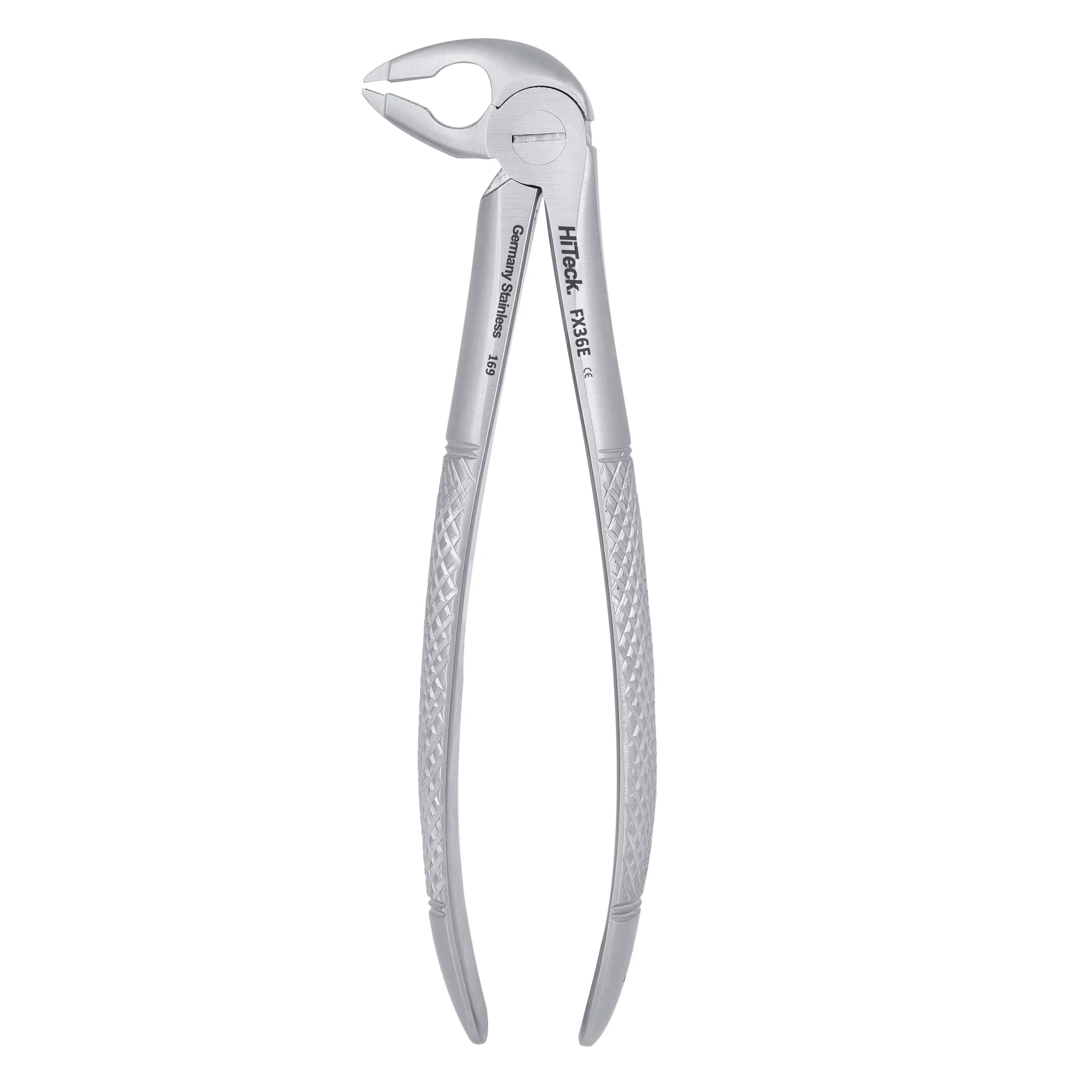 36 Serrated Lower Premolars Extraction Forcep