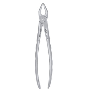 1 Apical Upper Incisors Atraumair Extraction Forceps