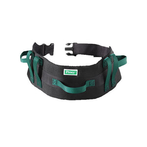 Transfer Belt, Economy