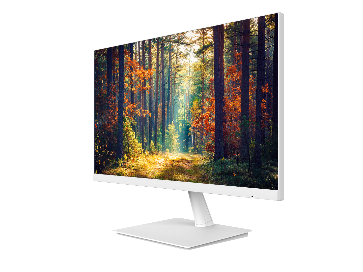 Planar 24