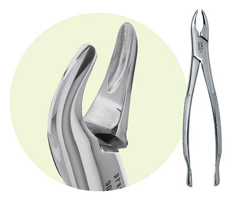 Extracting Forceps – # 150, Maxillary