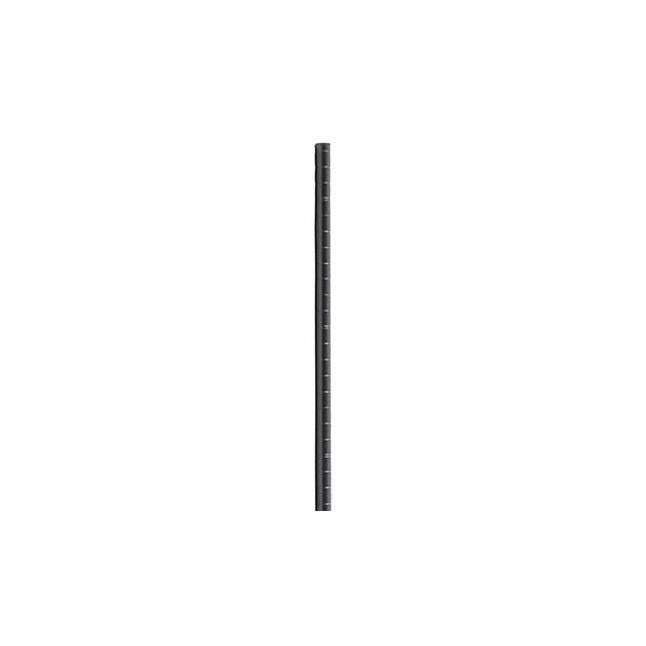 Cut Post, W40
