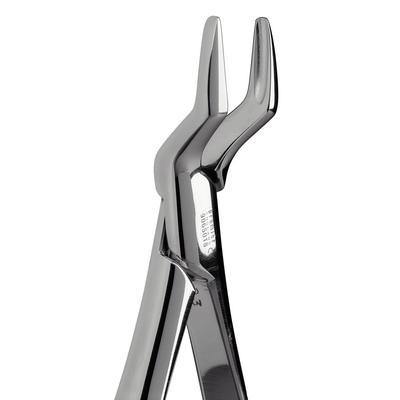 Extracting Forceps – # 65, Maxillary