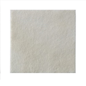 Biatain® Alginate Ag, Silver Alginate Dressing, 6