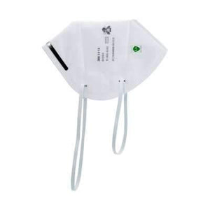 Particulate Respirator N95 9010 - 10/pk