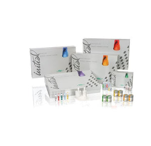 GC Initial™ Zr Shoulder Liquid