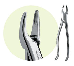76S Root Forceps
