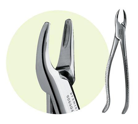 76S Root Forceps