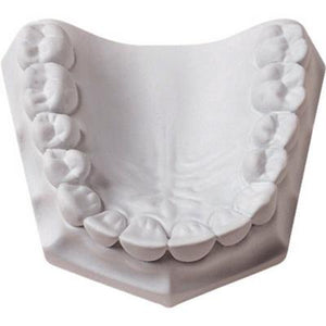 Laboratory Plaster, White