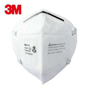 Particulate Respirator N95 9010 - 10/pk