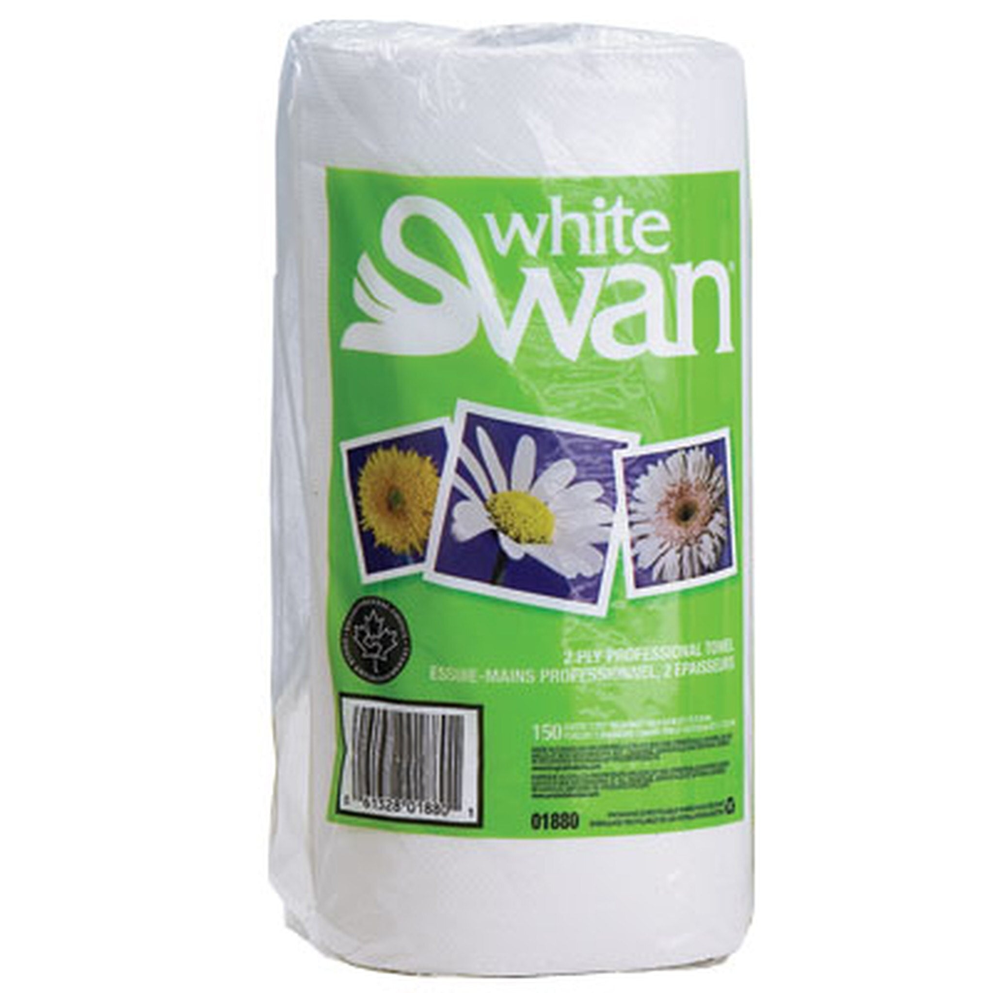 Paper Towels 24/case